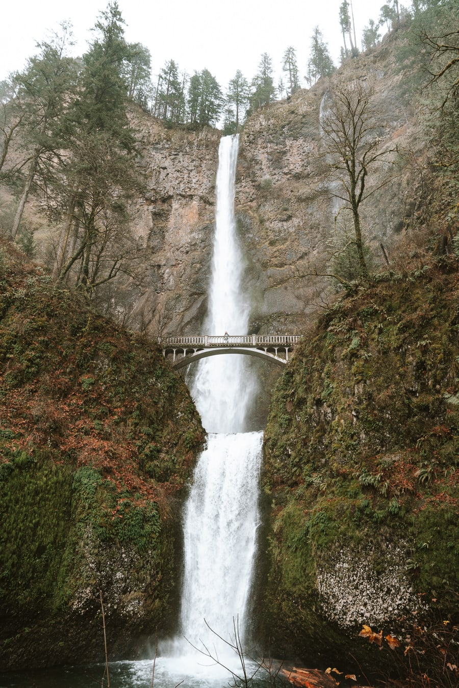 Multnomah Falls Trail
